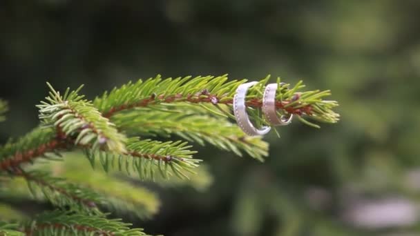 Anéis de casamento e buquê de rosas — Vídeo de Stock