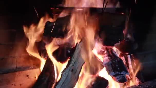 Vuur hout branden in de bakstenen oven — Stockvideo