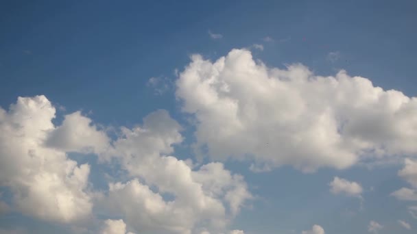 Tijd Lapse mooie witte wolken in de hemel over Oekraïne — Stockvideo