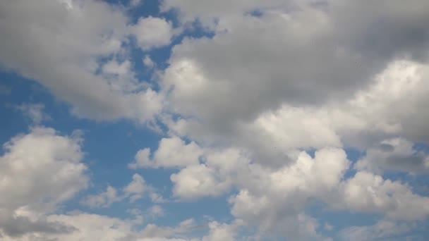 Zeitraffer schöne weiße Wolken am Himmel über der Ukraine — Stockvideo