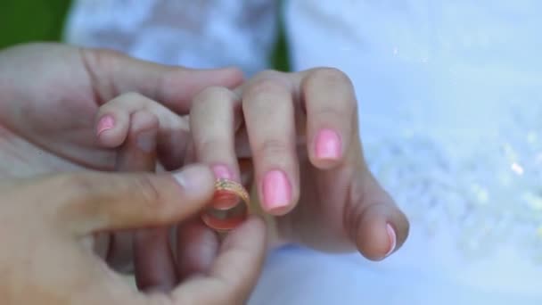 Bride and groom wear wedding rings — Stock Video