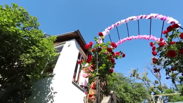 Arco de rosas en el jardín — Vídeo de stock