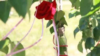 gül ağacı üzerinde bir şişe süslemeleri