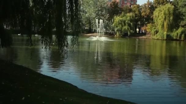 Hermoso lago con una fuente en el parque — Vídeos de Stock