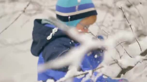 Bir çocuk karla kaplı ormanda yürür — Stok video