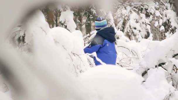 En pojke promenader genom den snötäckta skogen — Stockvideo