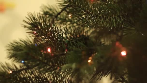 Arbre de Noël avec guirlandes clignotantes — Video