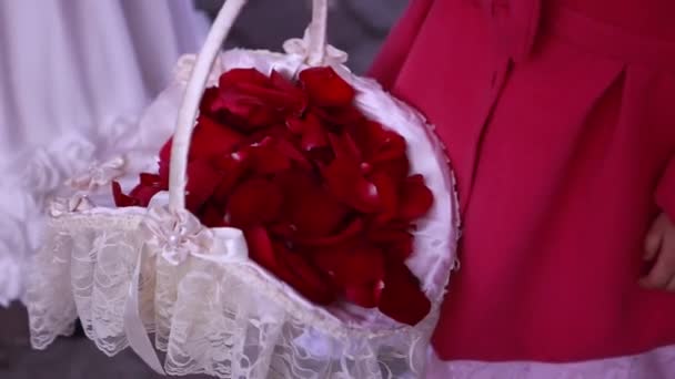 Girl holding a white basket with red rose petals — Stock Video