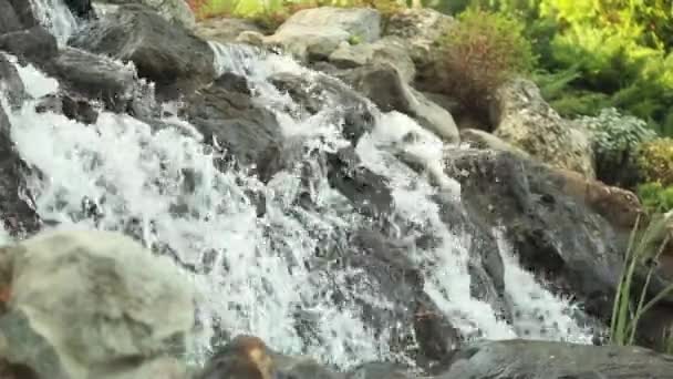 Kleiner Wasserfall auf dem schwarzen Fluss — Stockvideo