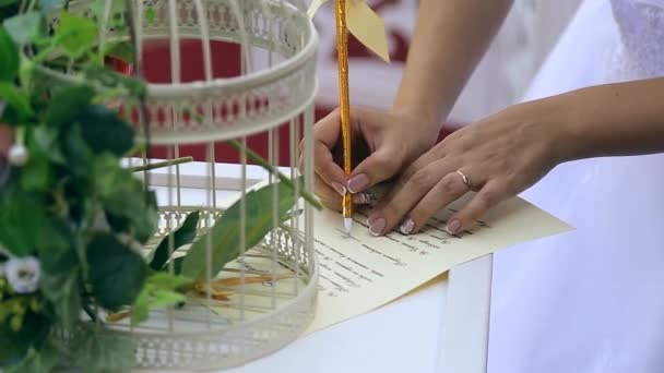 Наречений і наречений кладуть підписи на церемонію весілля — стокове відео