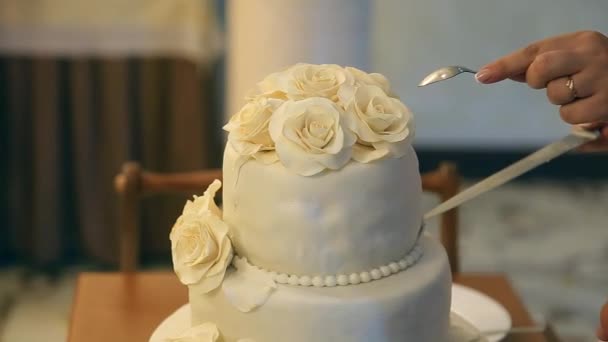 Bei der Hochzeit schnitt das Paar die Hochzeitstorte an — Stockvideo