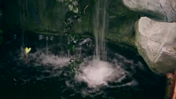 Künstlicher Wasserfall unter dem Dach eines Gewächshauses — Stockvideo
