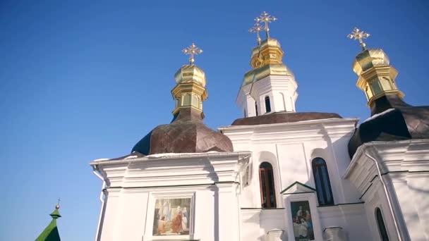 Zlatá kopule pravoslavné církve sedět dva ptáky — Stock video