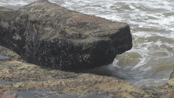 Salpicos de ondas oceânicas no recife — Vídeo de Stock