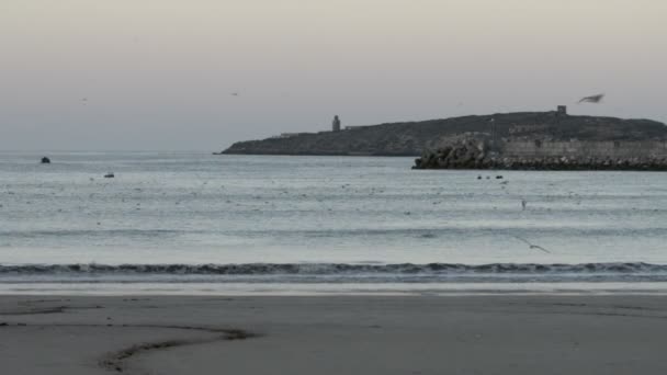 Solnedgång på stranden i den arabiska Golf marinmålning, Essaouira, Marocko — Stockvideo