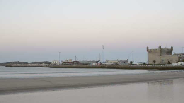 Puerto pesquero de Essaouira lleno de gaviotas — Vídeos de Stock