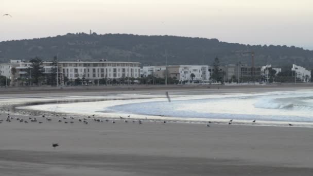 Krásné panoráma se nachází na pláži v Essaouira, Maroko — Stock video