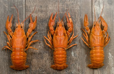 Eski ahşap masa yakın çekim üzerinde üst üste üç kırmızı crayfishes