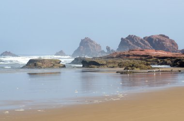 Büyük kayalar ile okyanus plaj manzara