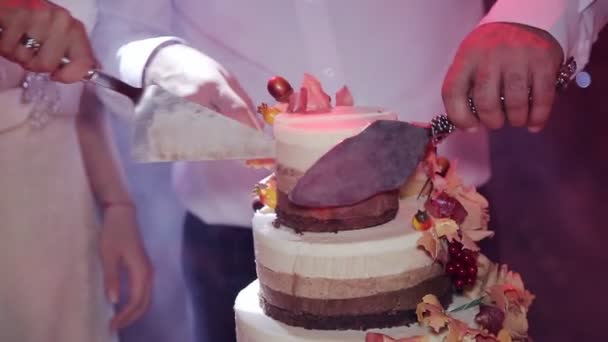 The Couple Cut Wedding Cake Rustic Royalty Free Stock Video The Couple Cut Wedding Cake Rustic Royalty Free Stock Video