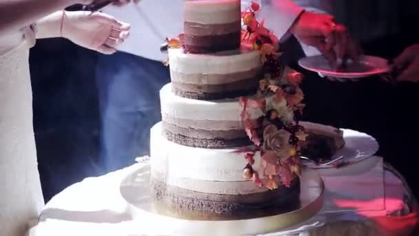 The Couple Cut Wedding Cake Rustic Stock Video The Couple Cut Wedding Cake Rustic Stock Video