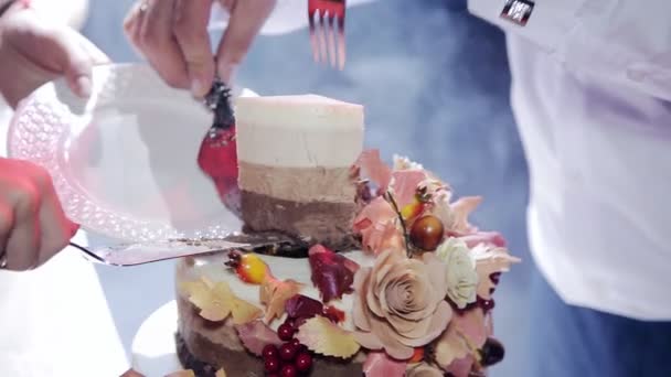 The Couple Cut Wedding Cake Tiers Rustic Video Clip The Couple Cut Wedding Cake Tiers Rustic Video Clip