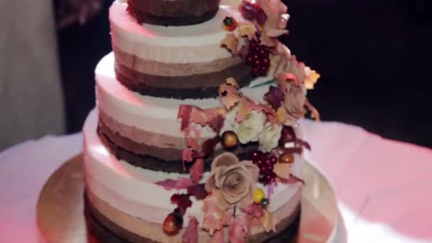 Tiered Wedding Cake With Rustic Stock Video 95753732 Tiered Wedding Cake With Rustic Stock Video 95753732