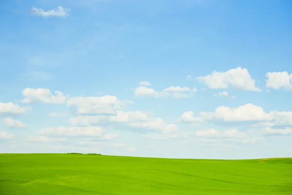 Dijital bileşimi yeşil çayır ve mavi gökyüzü