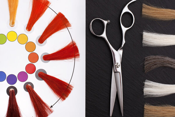 Coloristic circle. Hairdresser Accessories