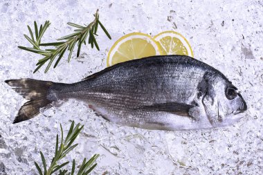 buz üzerinde taze dorado deniz ürünleri