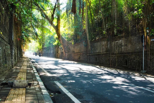Old street of Bali Royalty Free Stock Images