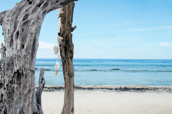 Turquoise ocean and beach Stock Image