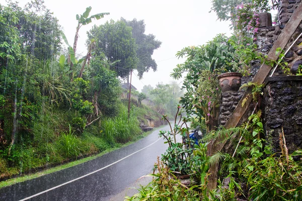 Bali, Endonezya. Bir Ubud sokakta yağmur mevsimi.