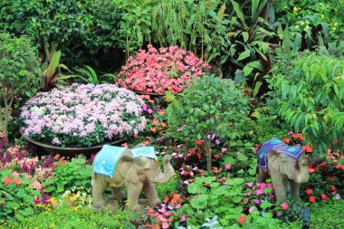 Filler ve çiçekler