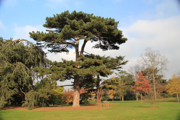 A day in the park — Stock Photo, Image