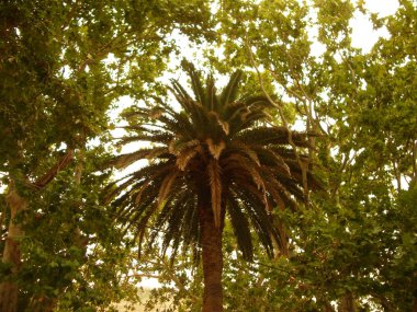 Gökyüzü sınırsızdır.