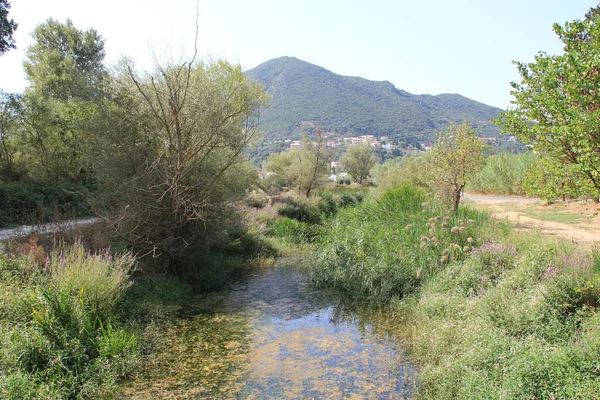 Bir sabah yürüyüş