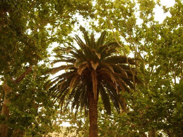 Gökyüzü sınırsızdır.