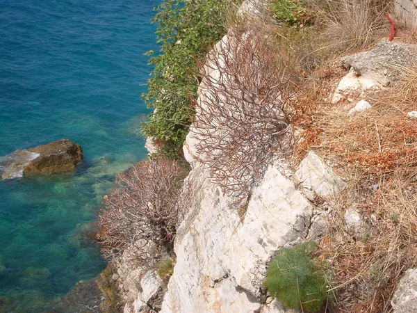 Rock görünümünden