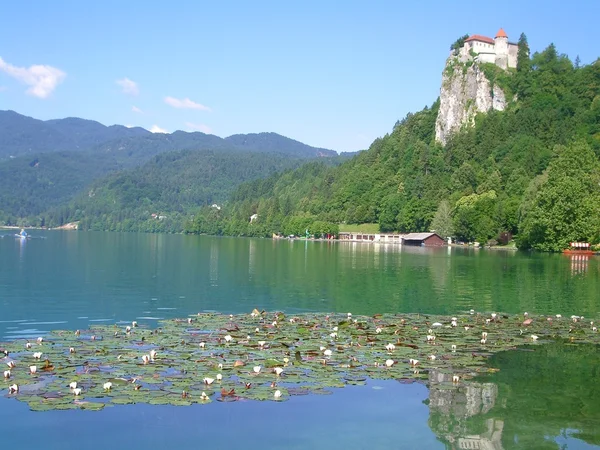 从远处看风景 — 图库照片