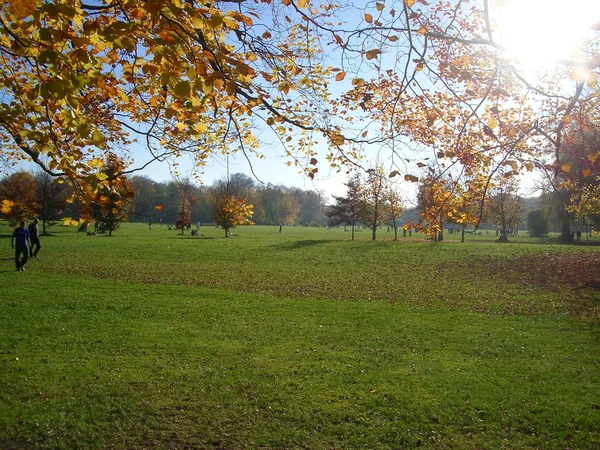 Parkta yürüyüş. — Stok fotoğraf