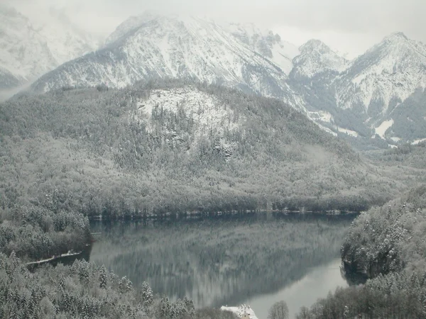 Kaunis luminen topit — kuvapankkivalokuva