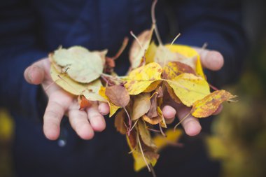 Sonbahar yapraklarında oynayan çocuk