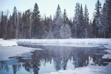 Yüksek dağların soğuk sabah bir buz ile benekli Nehri