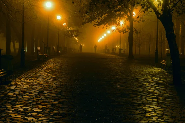Outdoor Autumn Shot Misty Evening — Stok Foto