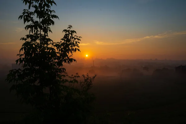 Şehirde yaz sabahı.