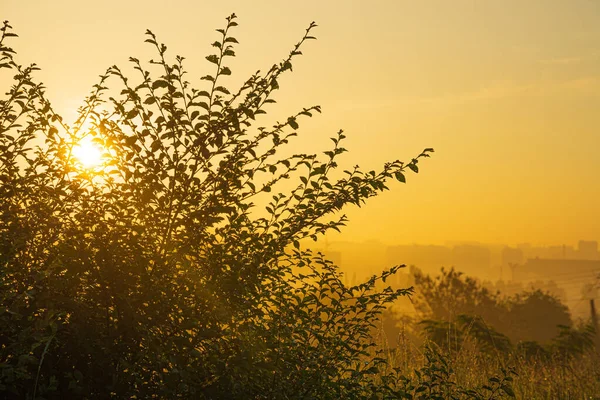 Mañana Verano Ciudad — Foto de Stock