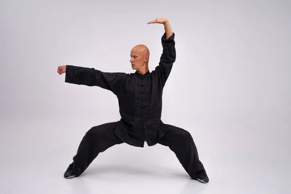 Wushu Ustası Eğitim Sürecinde — Stok fotoğraf