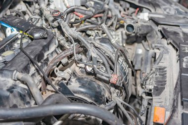 Motorun yanında, arabanın kaputunun altında bir sürü kirli soğutma borusu var..