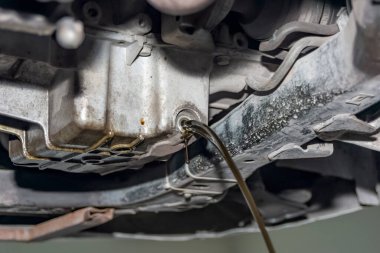 Motor yağı motor deposundan bir akarsu içinde bir kovaya akıyor, yakın plan..